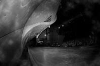 images1111111.jpg