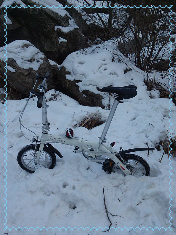 YP20130129144617._.jpg