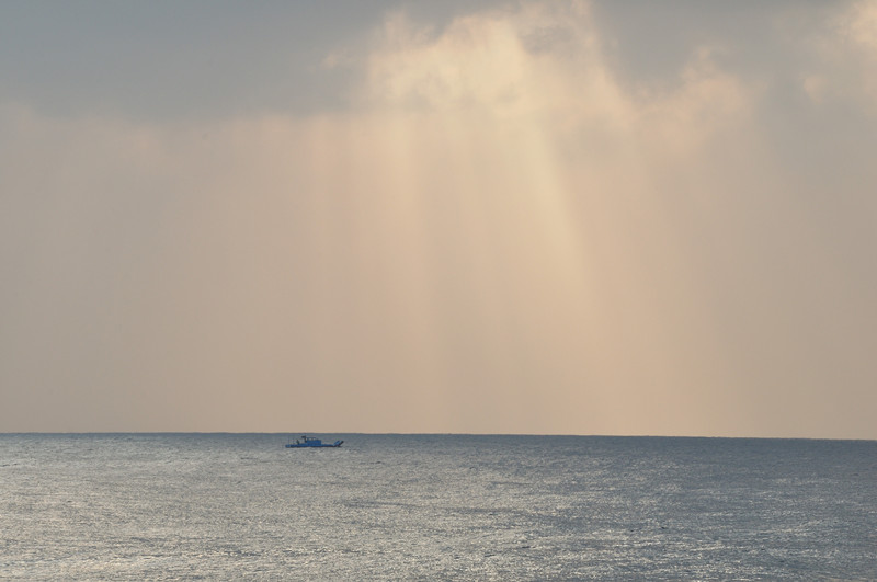 DSC_0300_.jpg