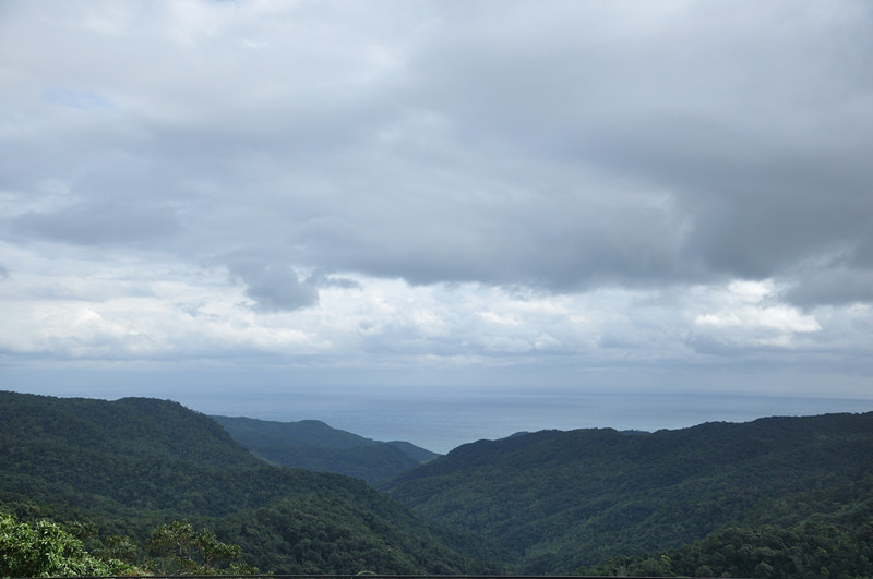 DSC_0339_.jpg