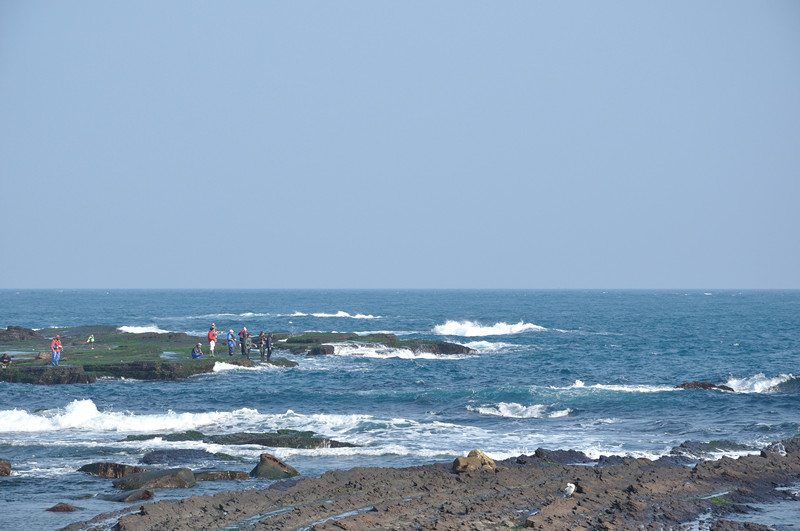 DSC_0434_.jpg