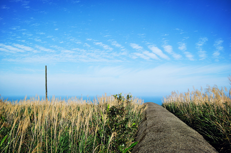 DSC_0539__.jpg