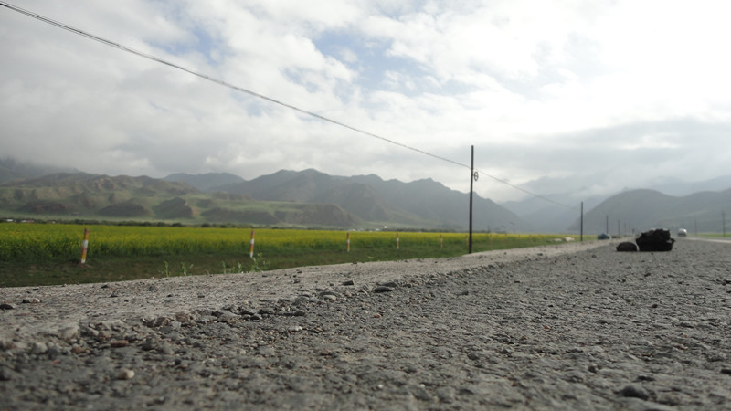 DSC03076.JPG