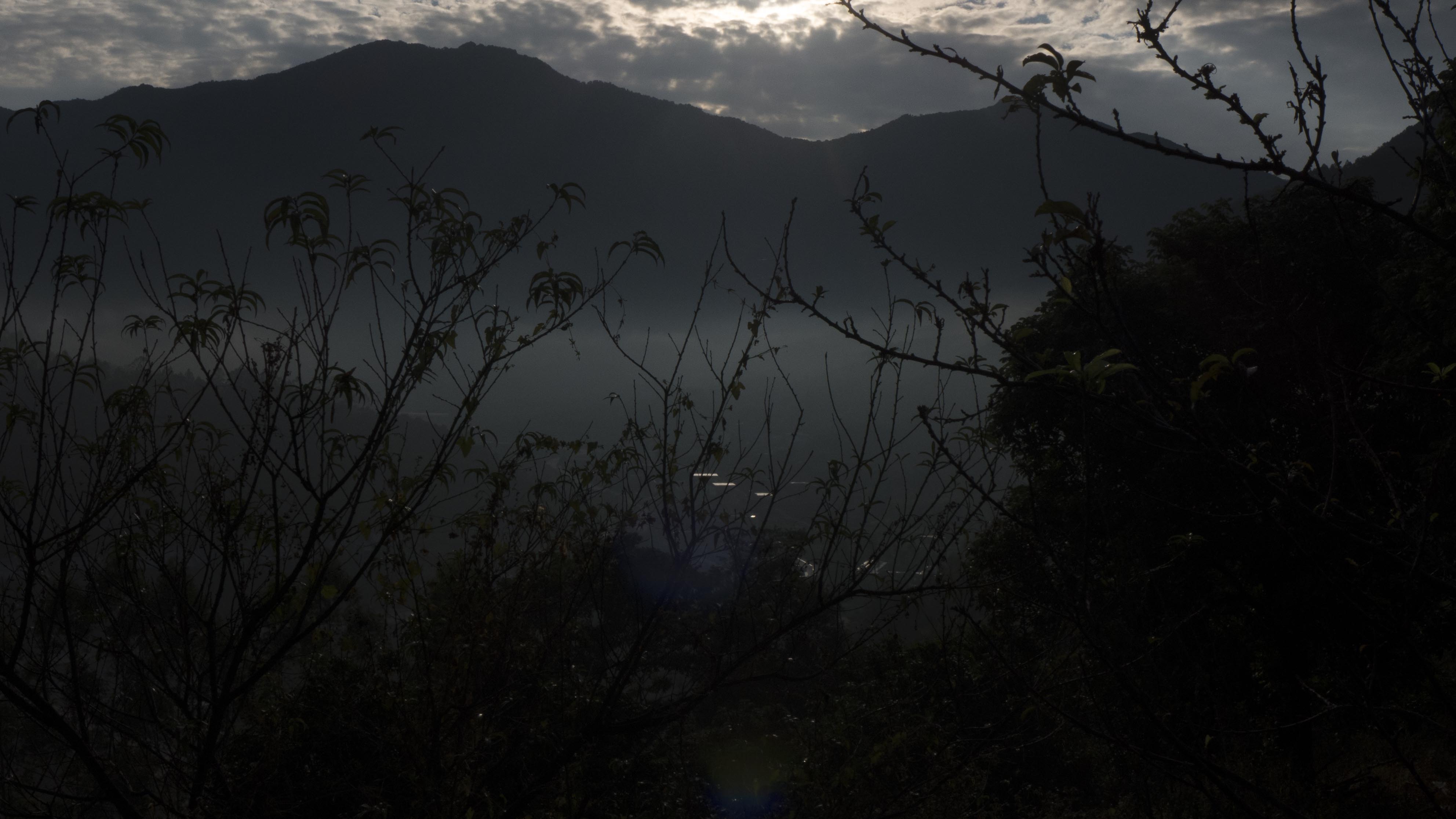 P1000989.jpg