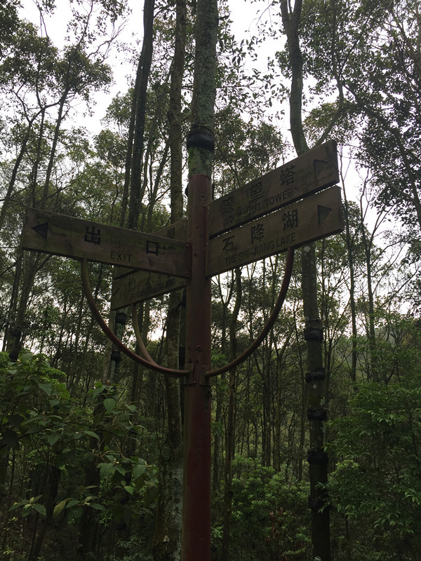 ǰʯ··.jpg