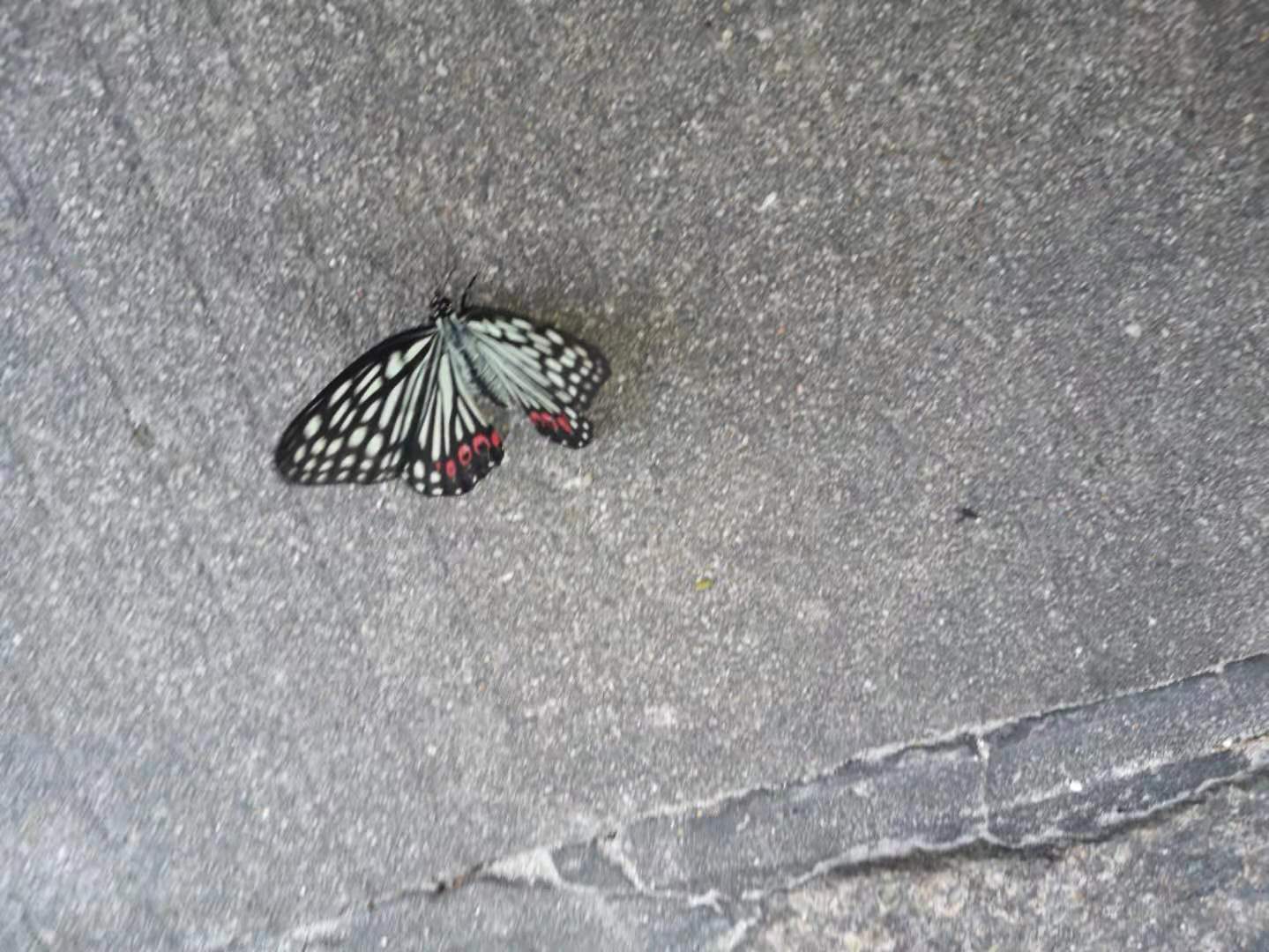 ΢ͼƬ_20210713001635.jpg