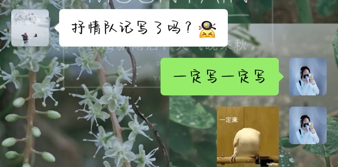 Screenshot_20211215_225137_com.tencent.mm_edit_10.jpg