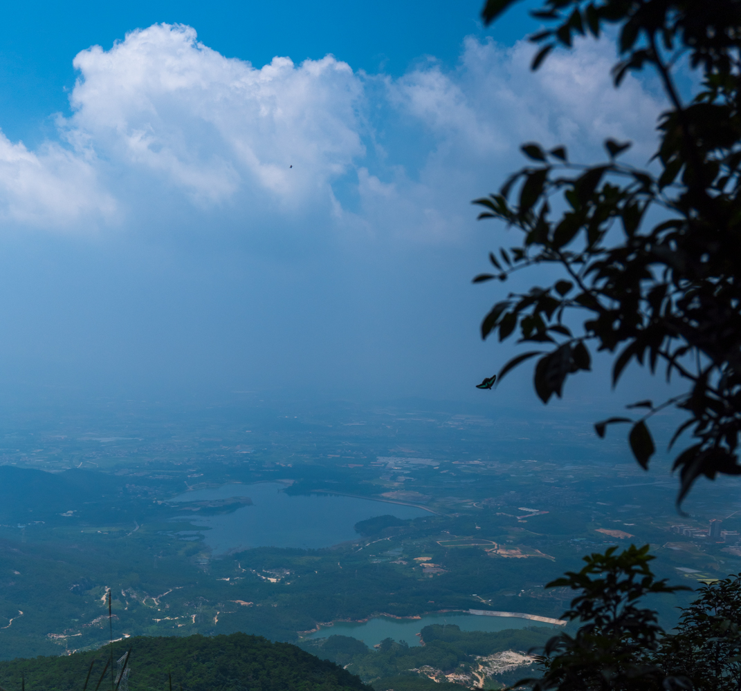 P1056548-3.jpg