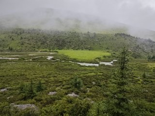 1000278102.jpg
