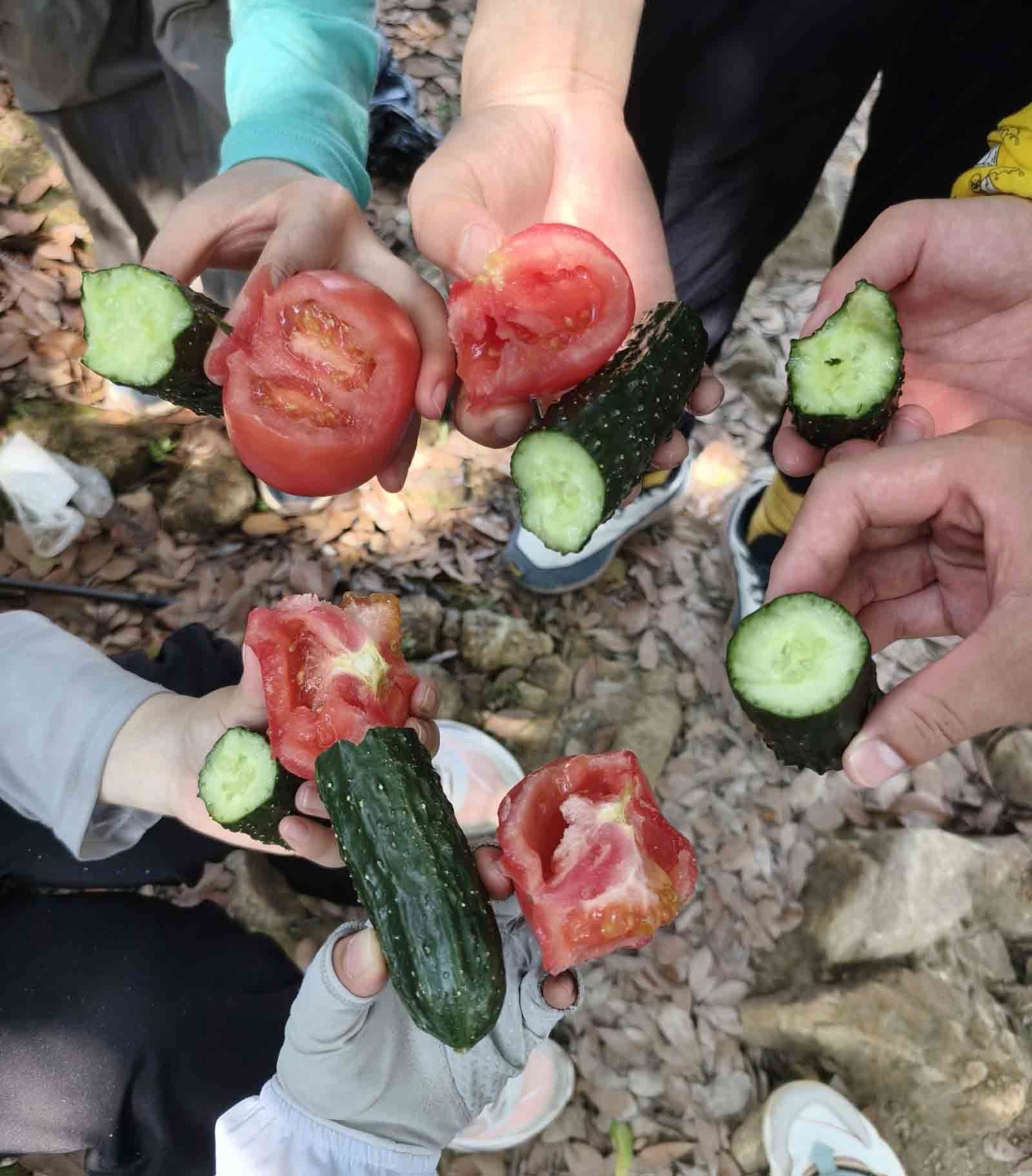 ͼƬ1.jpg