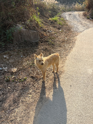 ��Ļ��ͼ 2026-01-22 181315.png