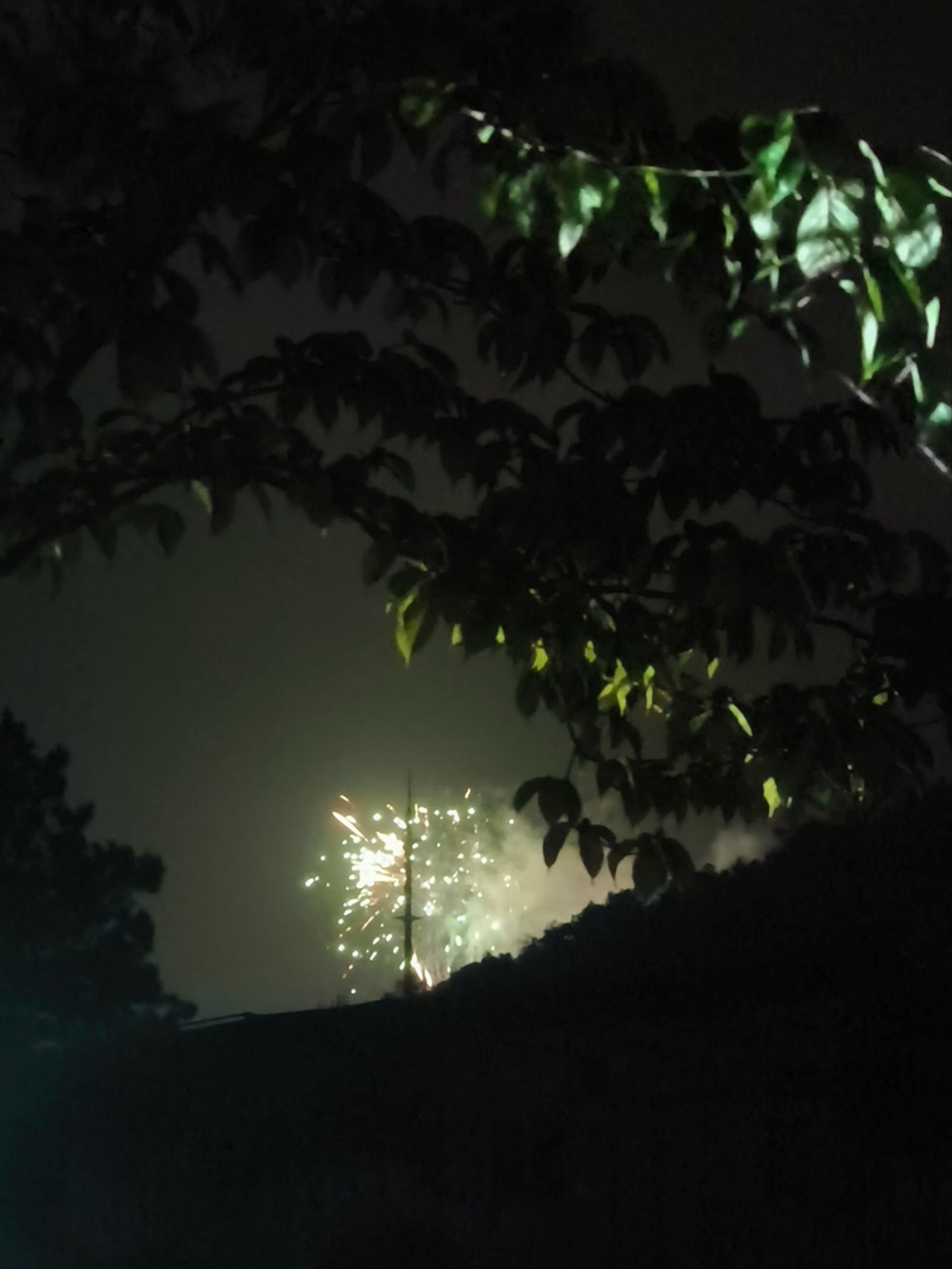 QQͼƬ20260513164046(1).jpeg